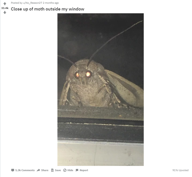 2b3a0023300ba60053db.png