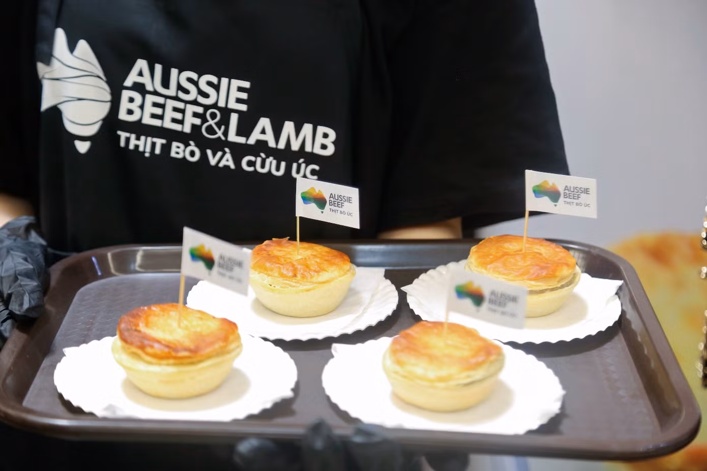 2b5caab84218859043e9.jpg