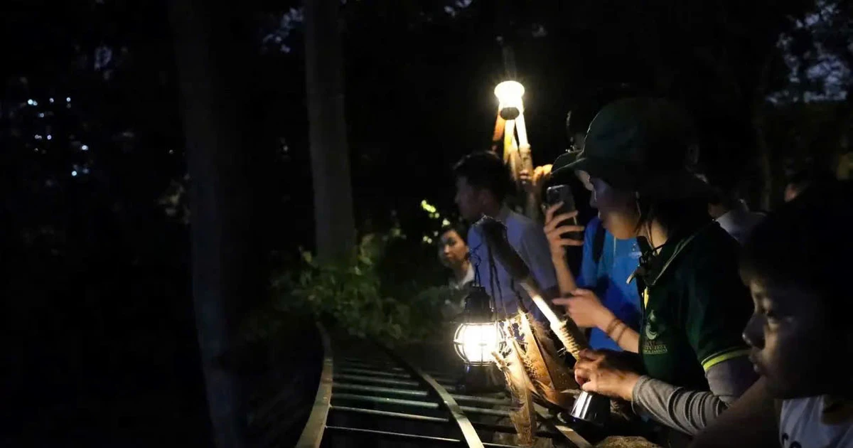 Gen Z rần rần với tour ngắm thú đêm tại Thảo Cầm Viên Sài Gòn - vibe cực lạ đang gây sốt!