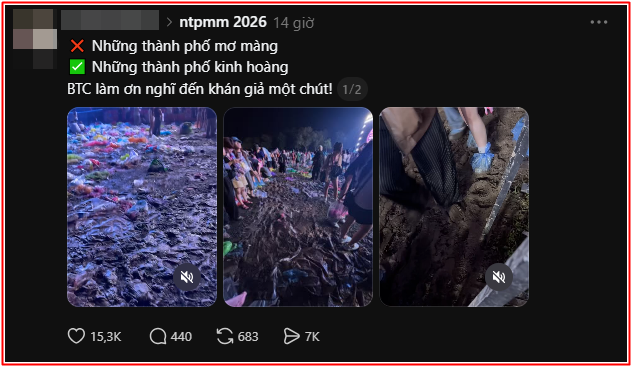 2b7a45e5c03ee251662b.png