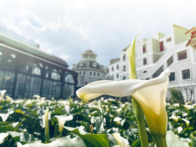 2baa37250325a44c777a.jpg