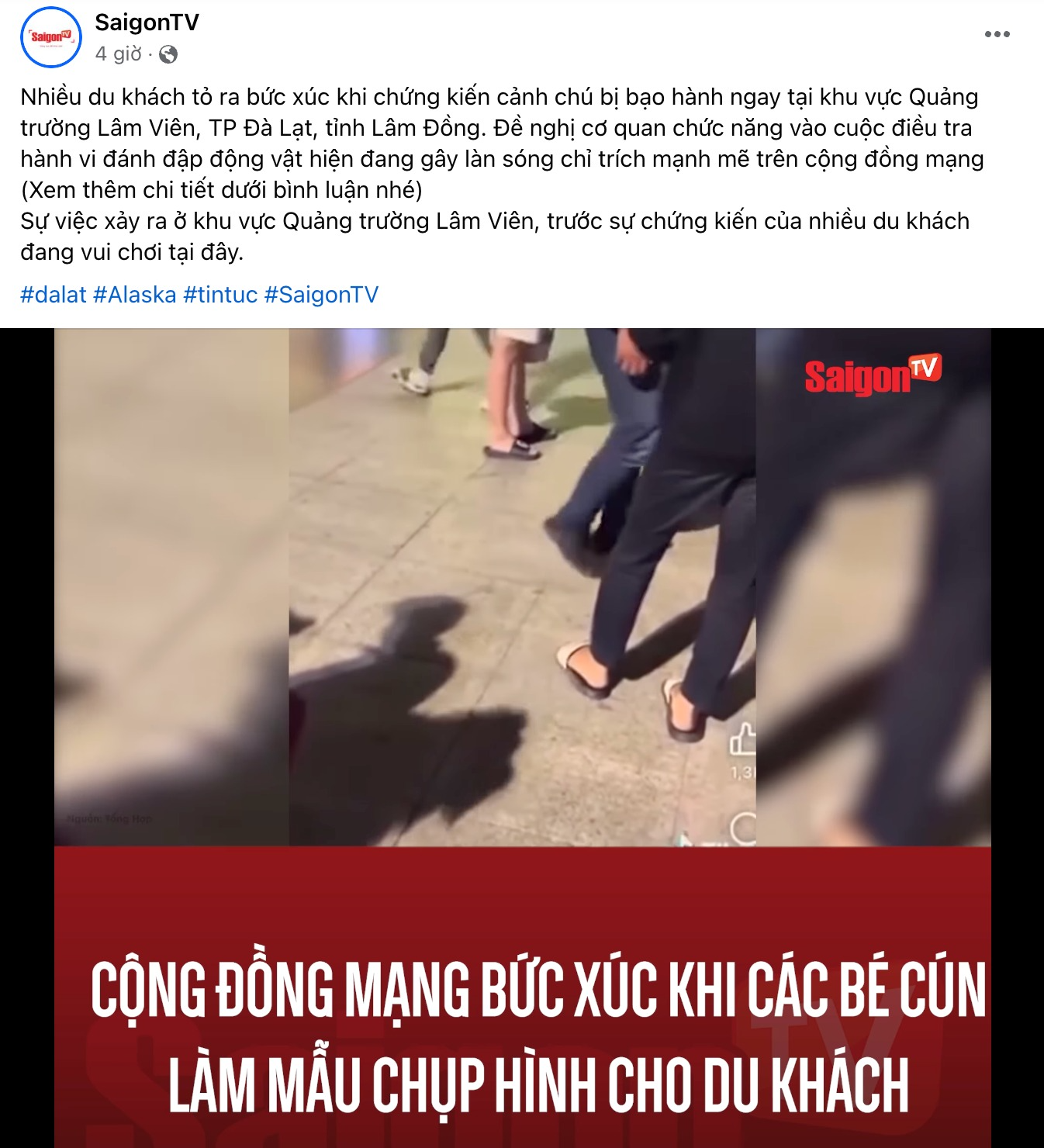 2bb1ade49028f9418dc0.png