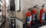 2bd8fa3ecd2172cc5d37.jpg