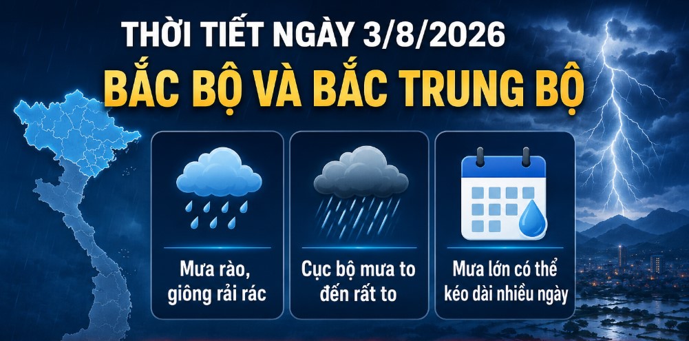 2bf43b422e1d48b4c095.jpg