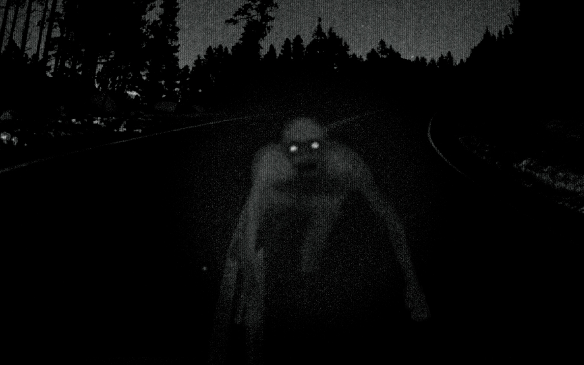 2c005d7799233dc13e87.jpg