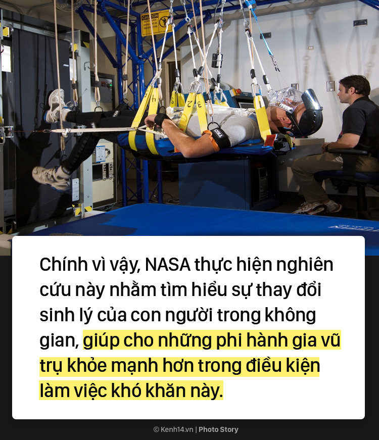 2c28bf502427cf3de423.png