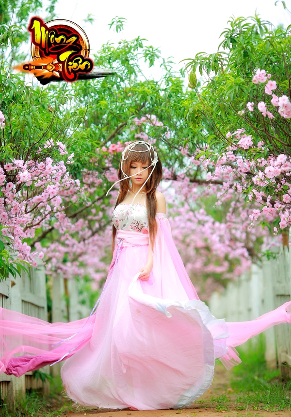 2c65943a990cc3847e06.jpg