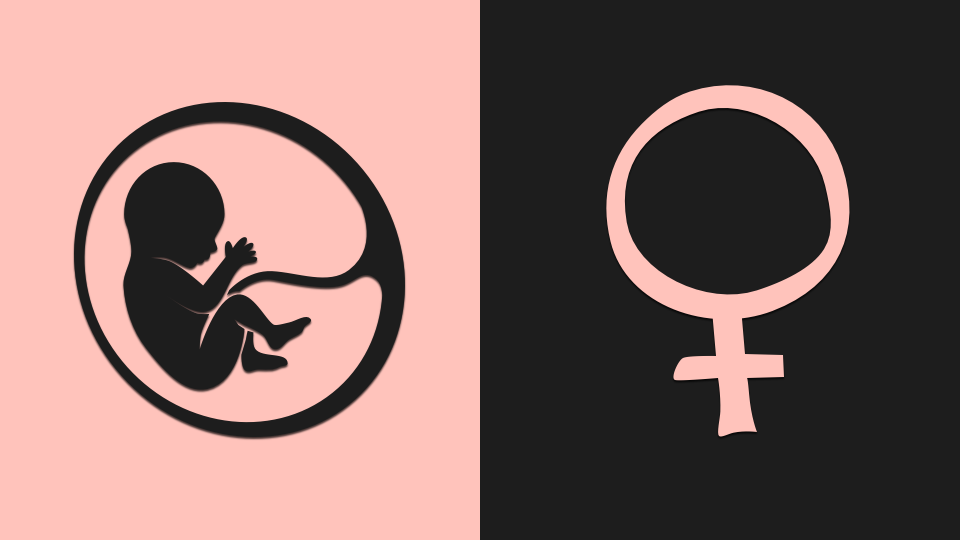 2c6a7589e68f3501148b.png