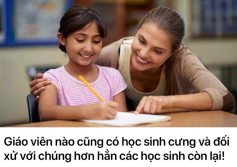 2c930dcd96f685b508e0.jpg