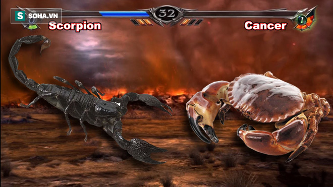 2cdcae55812d5aceafc6.png