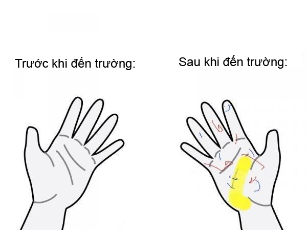 2ce34a2d54bf5d0741cd.jpg