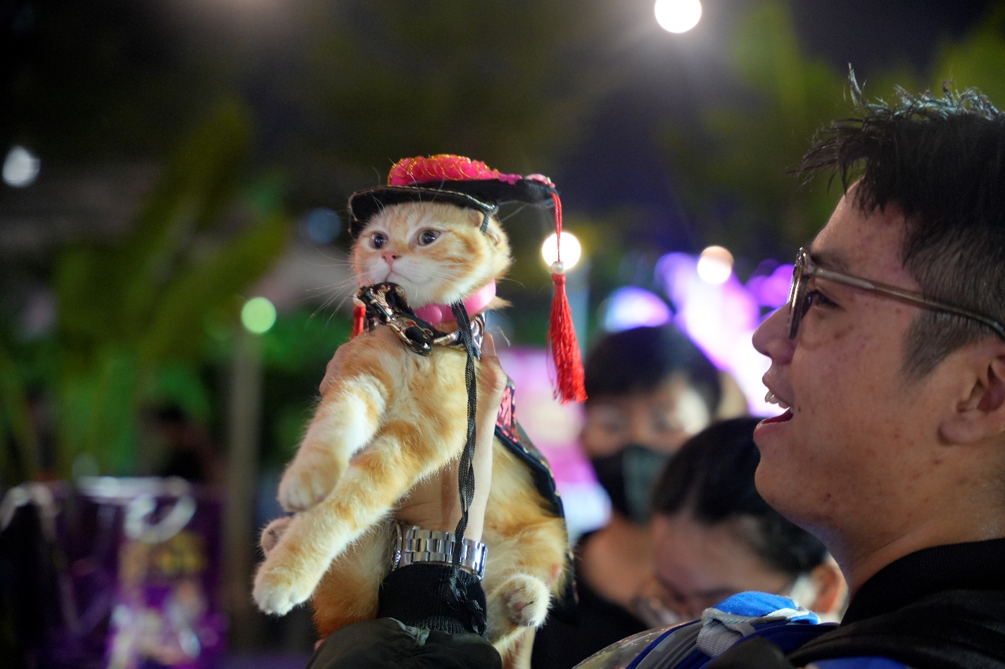 2d0ac6a5d7ac574b9642.jpg