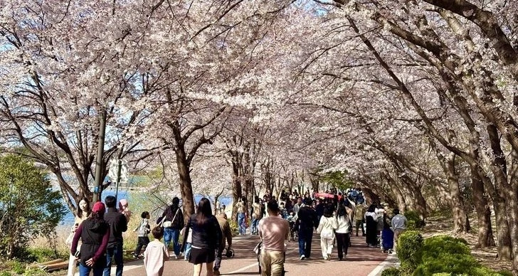2d105d3c9f9467ab667d.webp