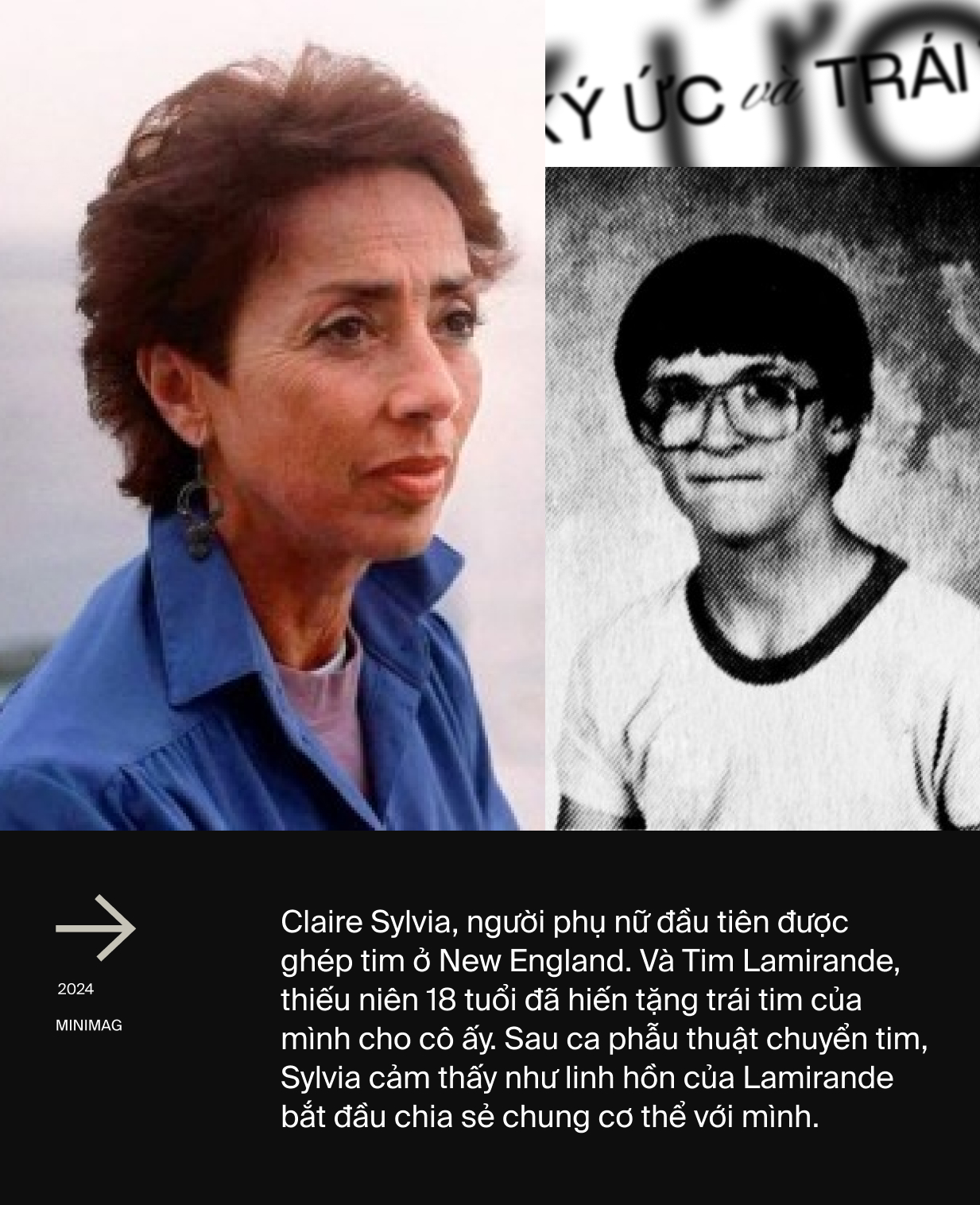 2d38919ad1e54e1d5d55.jpg