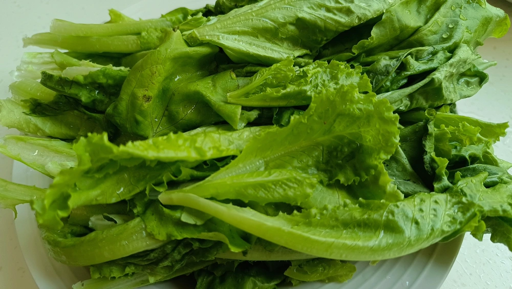2d3997f28ffc003d9353.png