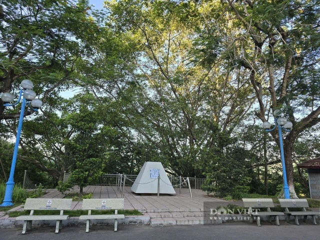 2d3d8d9b1558bf694ff9.jpg