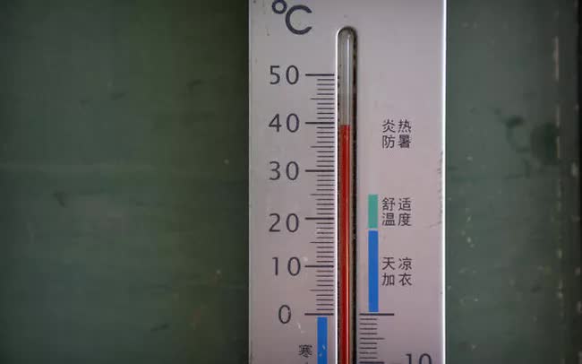 2d6bf70c72633cd2c655.jpg