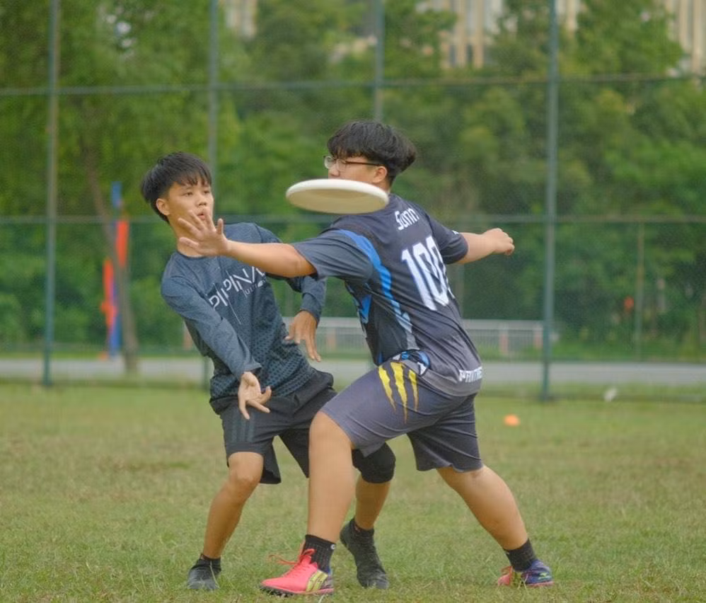 2d843a895abfcab0b6d4.jpg
