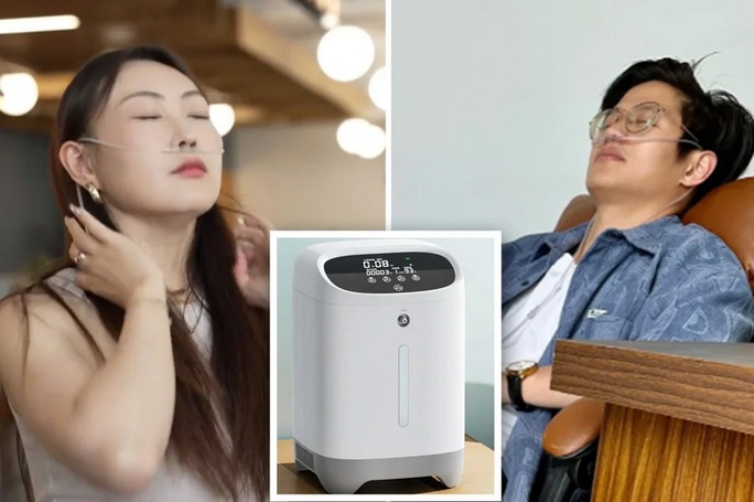 2db980b7ab3207bee371.jpg
