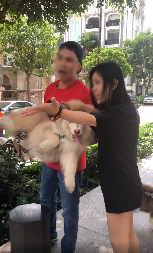 2ddb28947f689369af9b.png