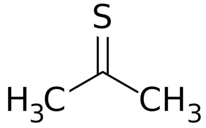 2de69e8a233a7f79393d.jpg