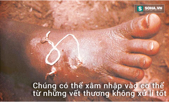 2e013f47cb3ad158b59d.png