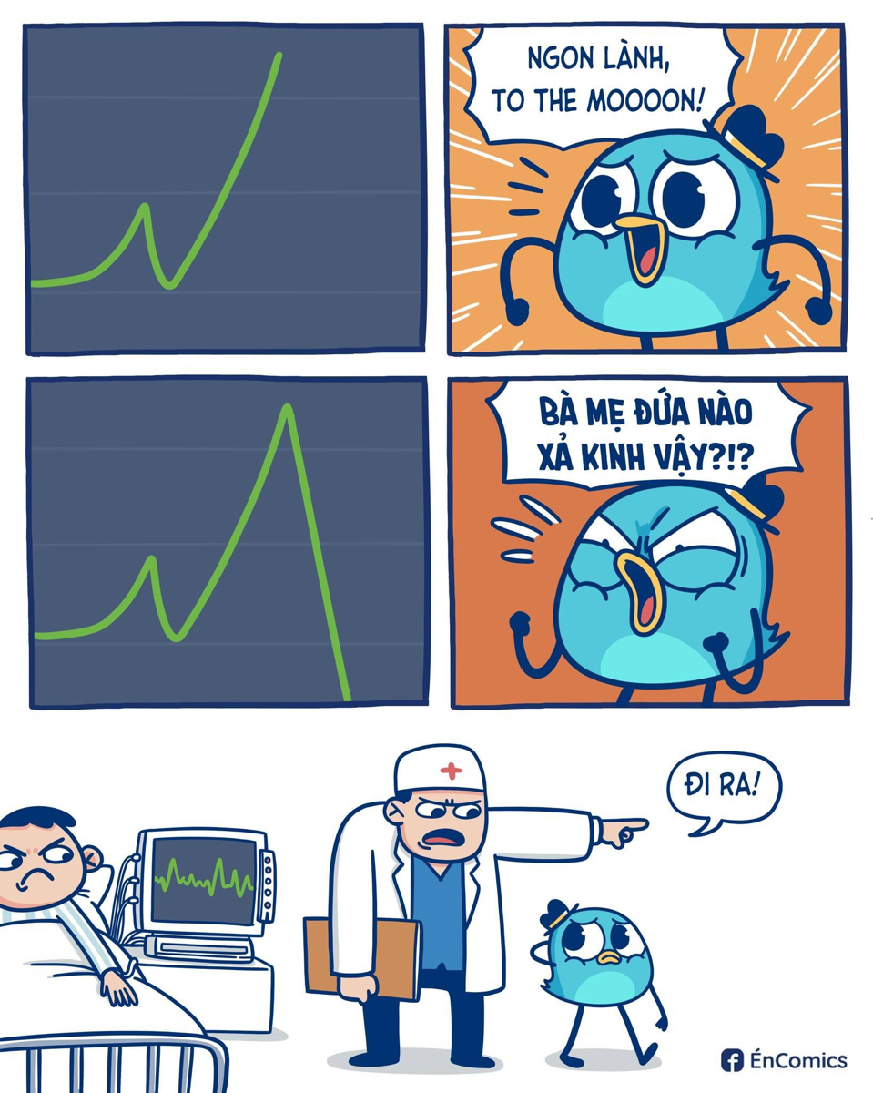 2e3031c1259db8b038ee.jpg