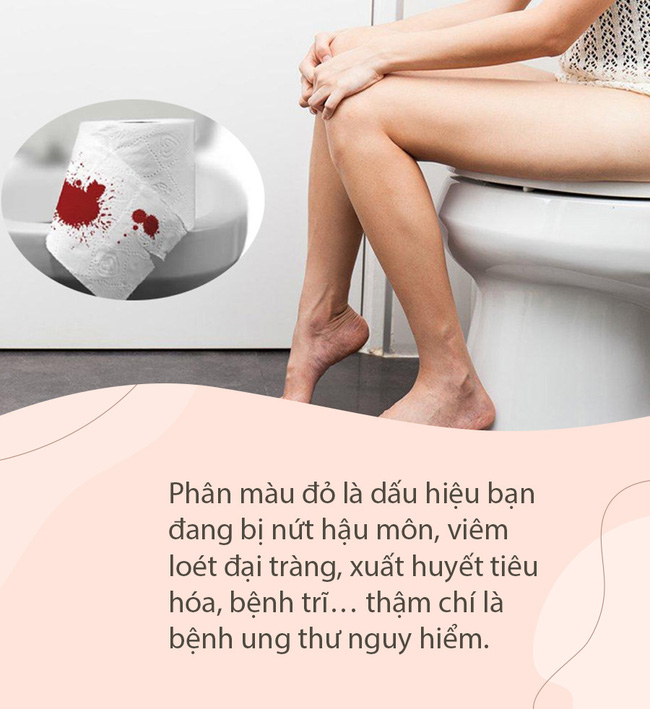 2e615c1fae1cd5beb81b.jpg