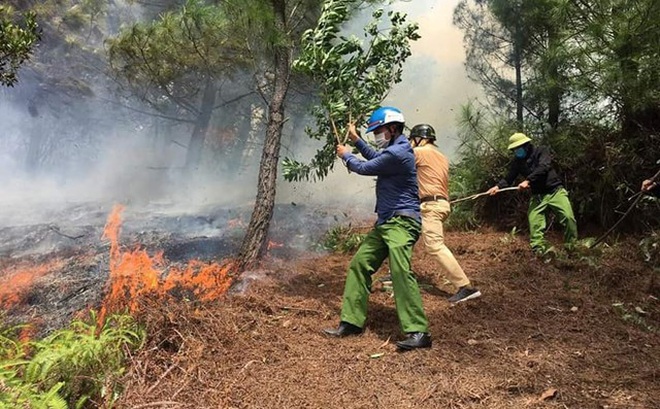 2e725ef3a28cef8e8921.jpg
