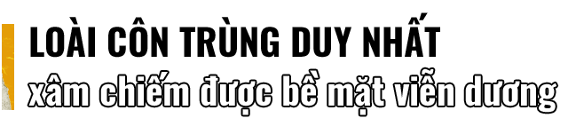 2eb515523f03a06737ec.png