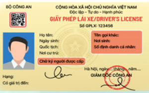 2ed53d47e083906aa373.png