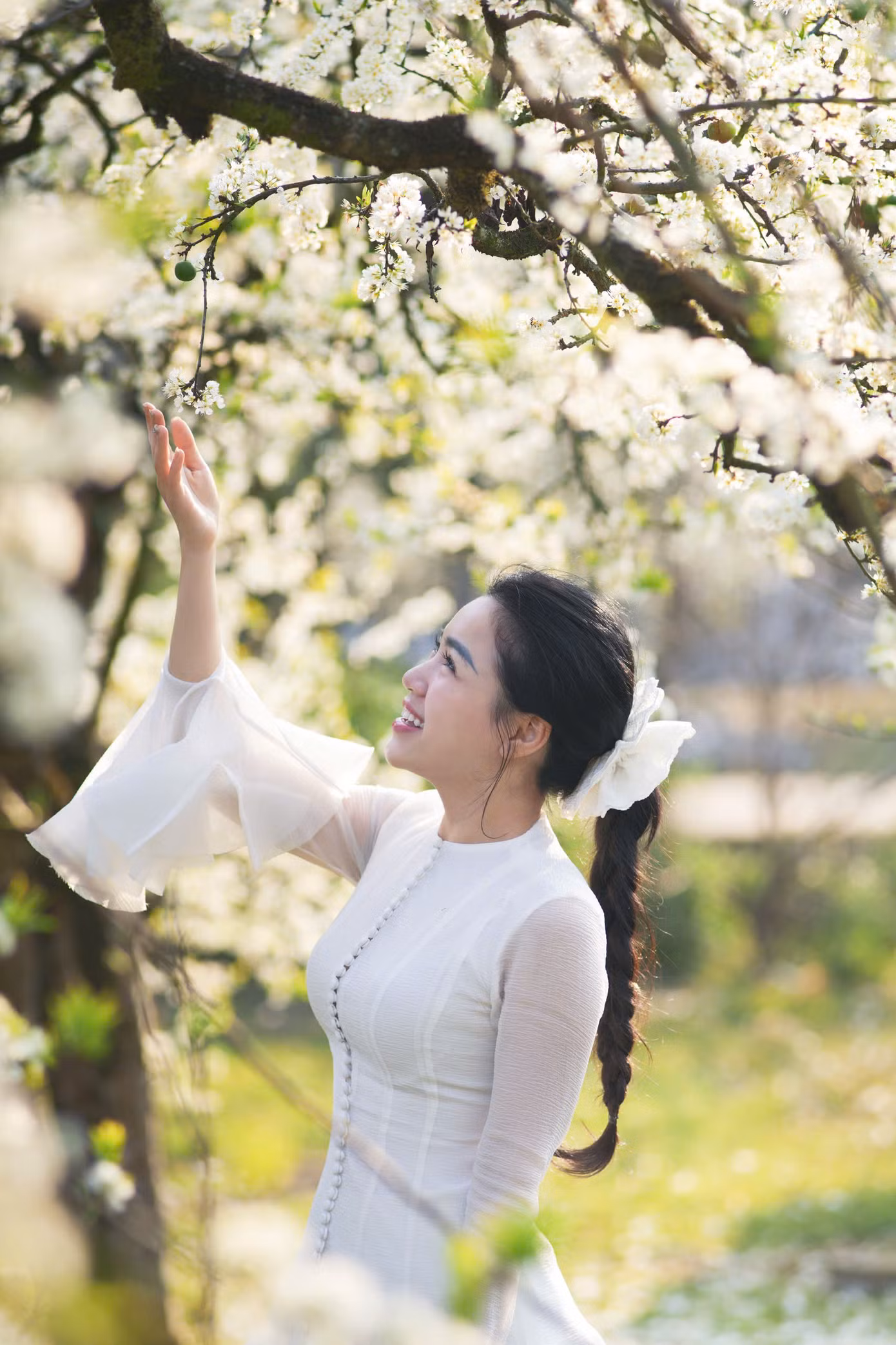 2ef987b183d1ba528448.jpg