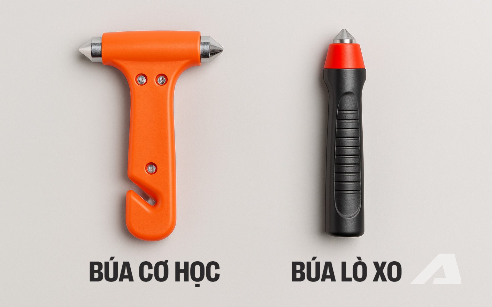 2f08c6b574f272fec6cb.jpg