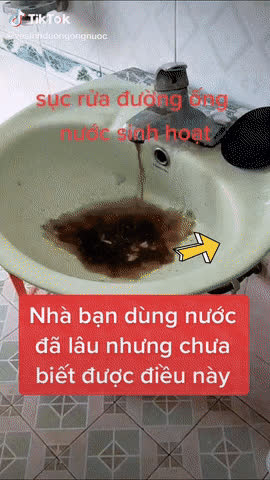 2f0f31c7fc8a9e475aac.jpg