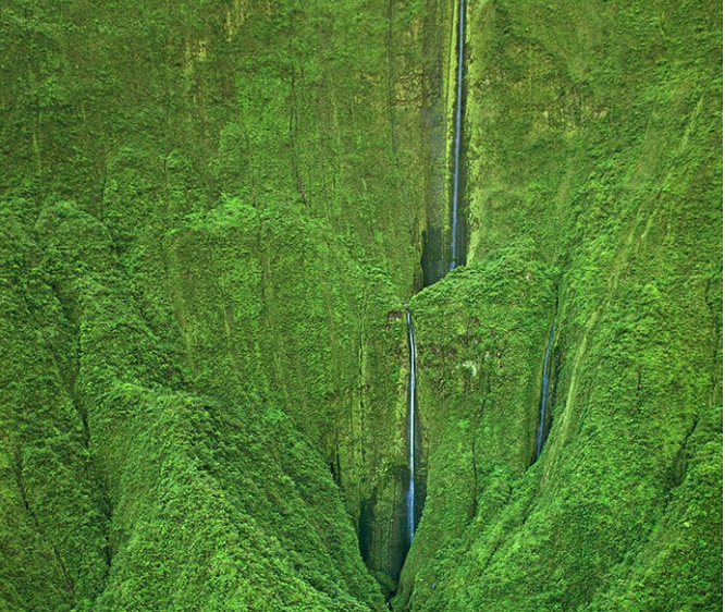 2f654281dd2eb719f981.png