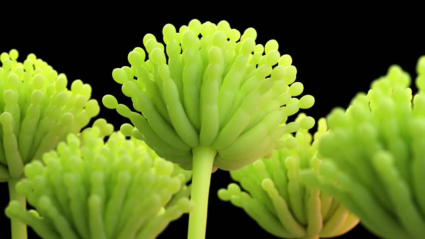2f941f97d961d62b6305.jpg