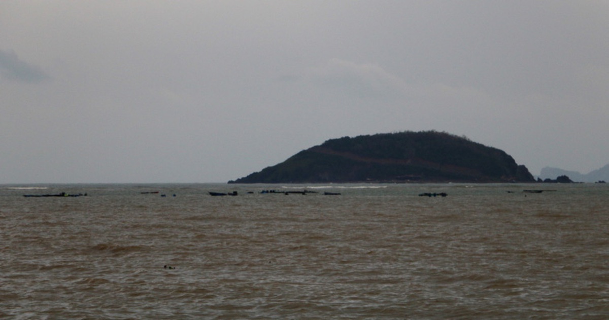 2ff8066097144d842170.jpg