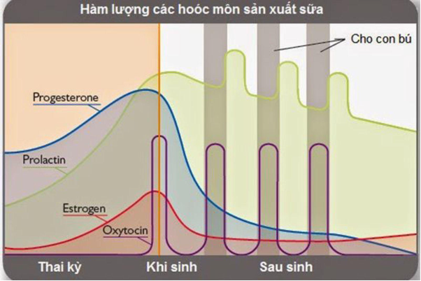 2ffff0893e6514585aba.png