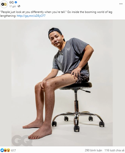 304bb1f07769fdf1d086.png