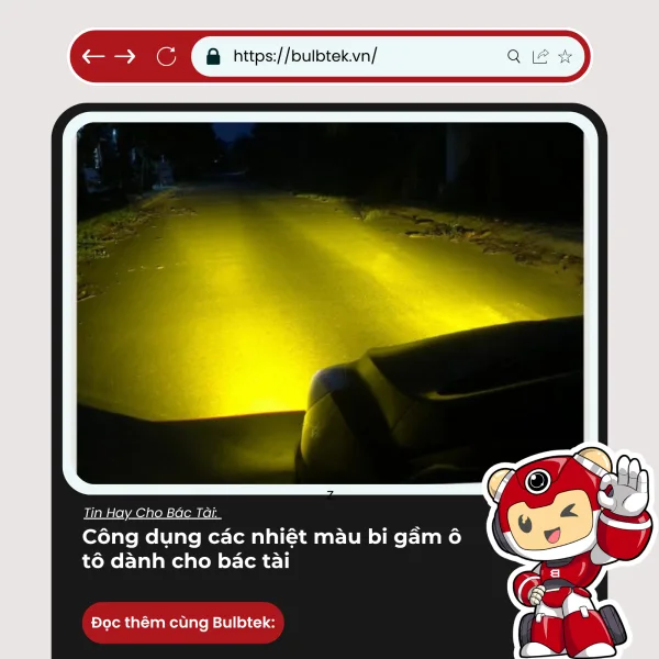308dd307d357e3a29fc0.webp