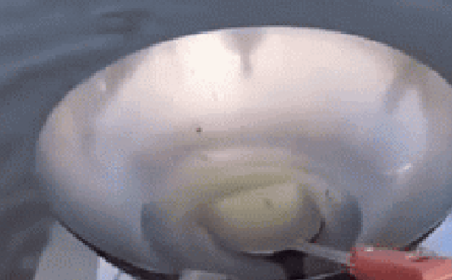 30cdf21e729f898f2146.png