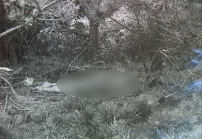 30cebe6626828d1f93fe.jpg
