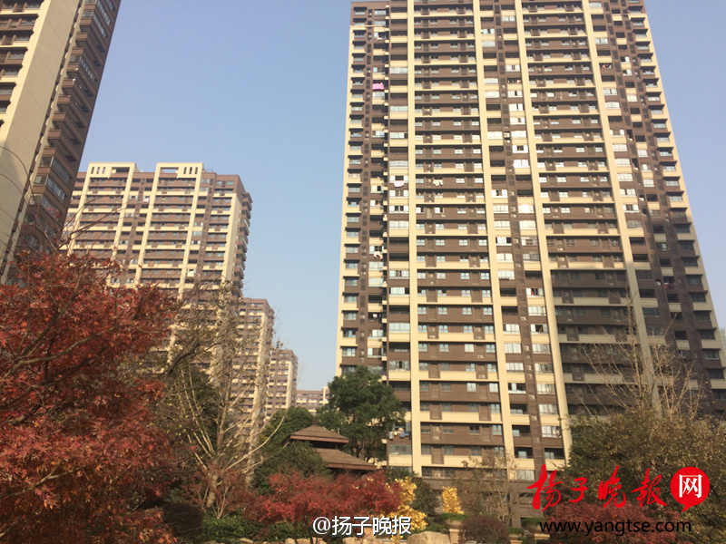 30e2d5c1059f9635a995.jpg