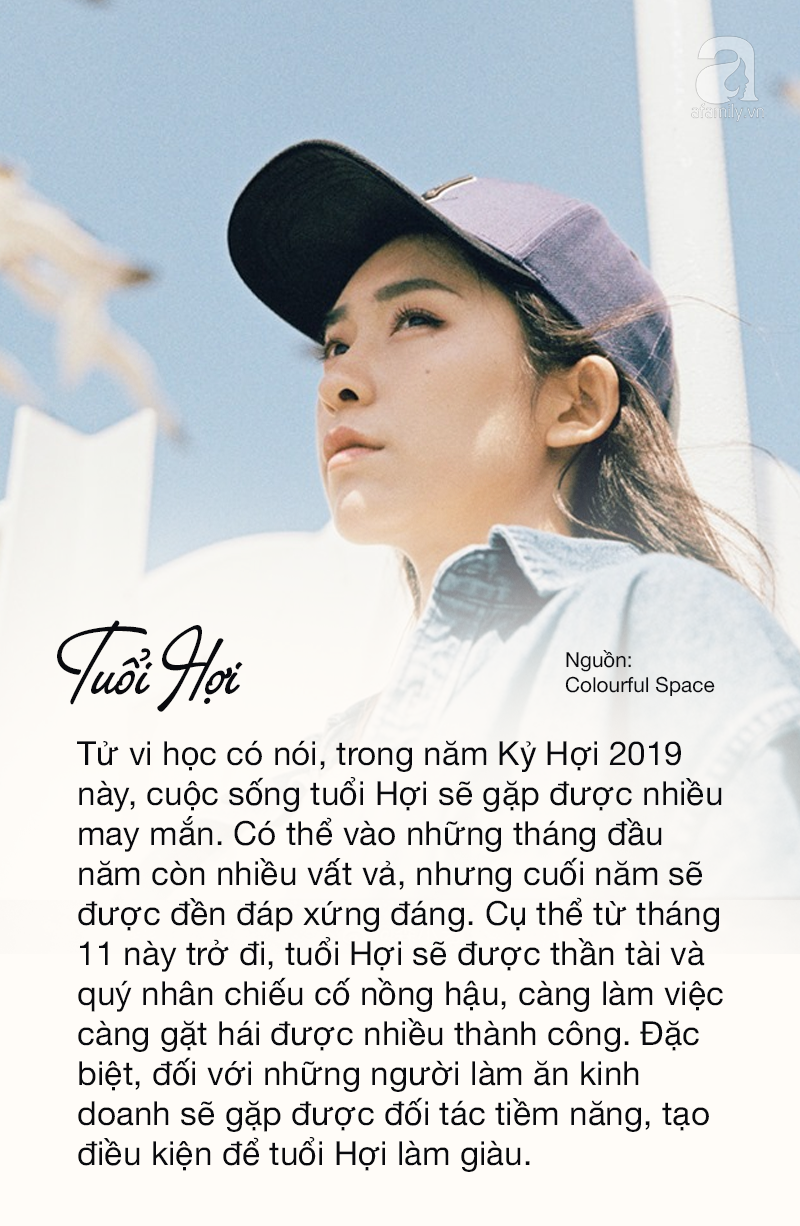 30f897b5613c21e718d7.png