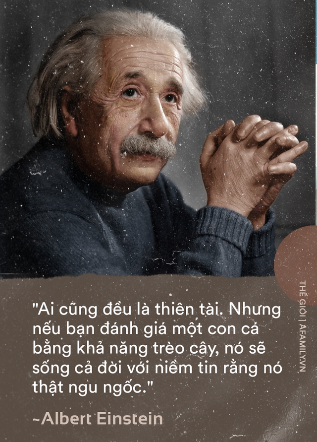 31257bb78c4f16135f7e.png