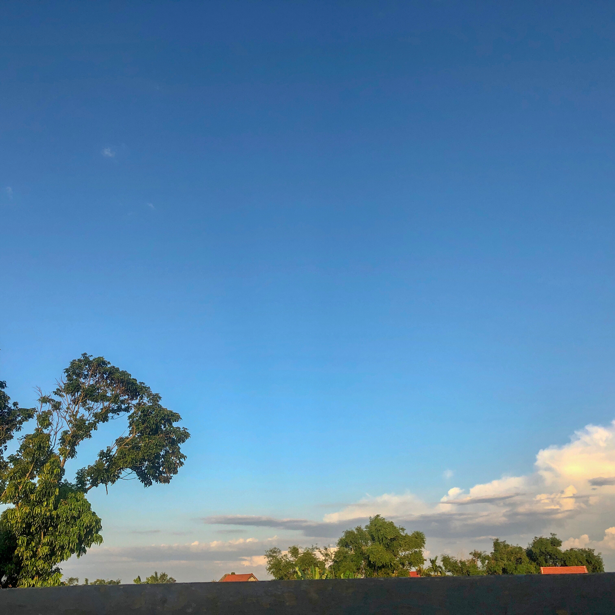 Chill hết nấc với một buổi chiều nằm dài nghe nhạc, đỉnh không chê được gì! ‍♀️
