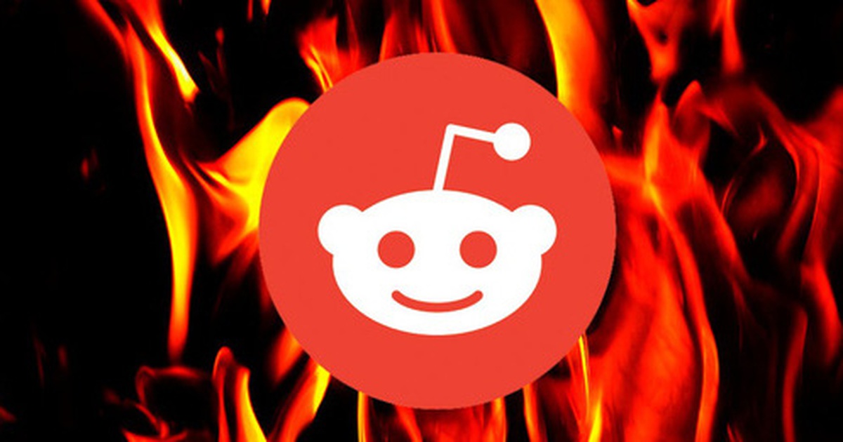 3141f09879ff41622aa1.jpg