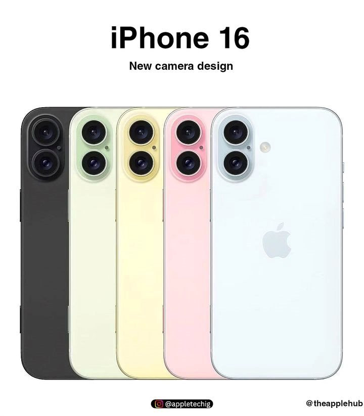 315a77a4731e598e317d.jpg
