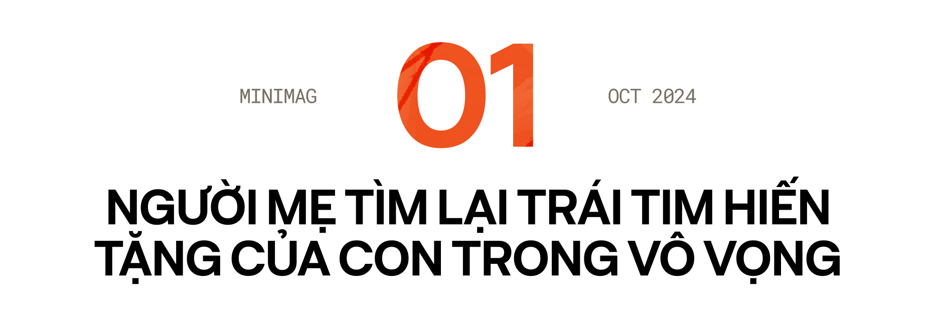 31986d3bd346d8f77339.jpg