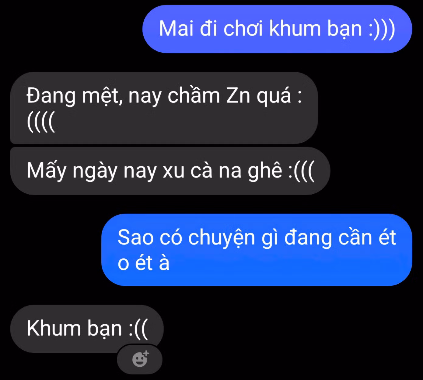 31e684ac50d7adbae744.jpg